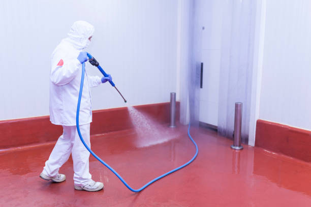 Best Graffiti Removal  in Forney, TX